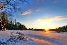 snowy landscape in Canada