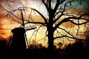 silhouette of a dutch mill at dusk