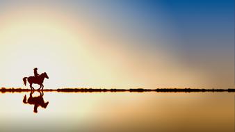 Horse rider silhouette with reflection on Water