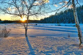 winter panorama in Quebec, Canada
