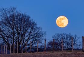 Full Moon Super