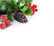 Christmas background with berries and pine branches