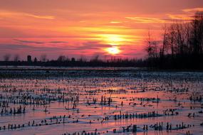 landscape of the red Twilight Sunset