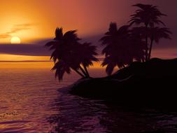 landscape of Palm trees on coast at scenic Sunset