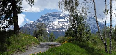 path on blooming Meadow to snow-capped mountain