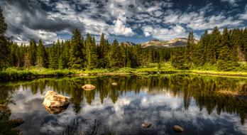 Panorama of a green forest by the pond in Colorado, America