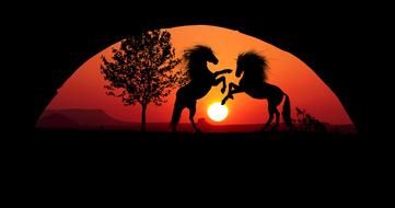 sunset horses combat