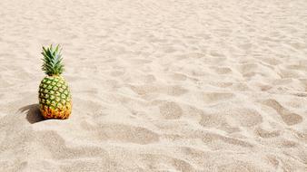 pineapple on the sand in the sun