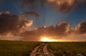 magnificent colorful sunset above the fields on horizon