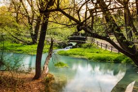 calm River in Park at spring