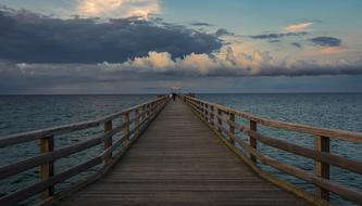 Sea Bridge Web