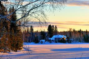 house near the forest in winter