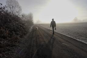 Person, walking on the beautiful road with the dog, among the trees and fields, in fog, in light