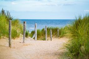 enchanting Thin Sea Fence