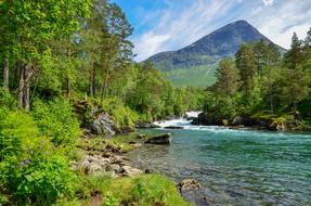 Untouched River