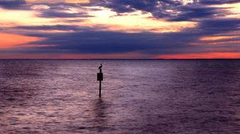 magnificent Water Sunset
