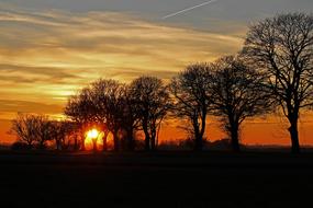 Beautiful landscape with the silhouettes of the trees, at colorful sunset in the evening sky with clouds