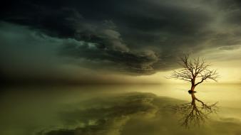 wonderful magic Sunset