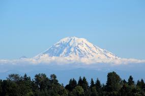 Beautiful, snowy Mount Rainier, behind the green trees, in Seattle, Washington, America,