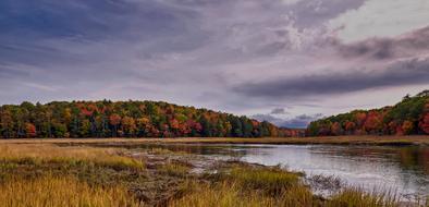Marsh on coast of Sherman Lake at fall, usa, Vermont