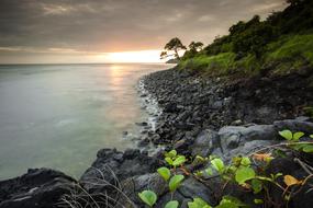 magnificent Green Rock Landscape