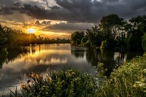 reflection of the bright sun in a forest river
