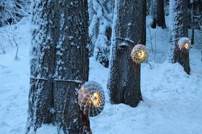 light decorations on trees in the forest for christmas