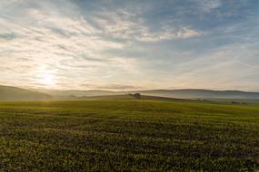 spacious green field in the countryside