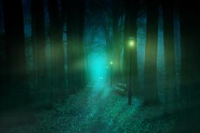 lamps in the mysterious forest