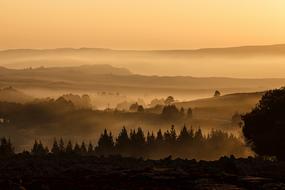 scenic Landscape, mountain Valley in Mist