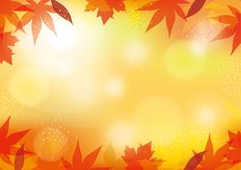 autumn background bokeh drawing