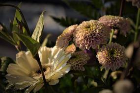 bouquet with pink flowers close up
