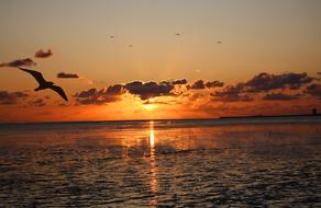 scenic Sunset over Wadden Sea