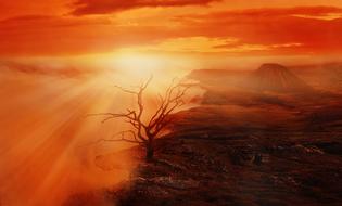 Landscape Tree and red sun
