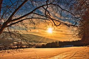 magnificent Wintry Sun