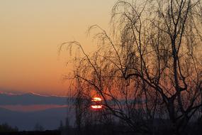 Beautiful landscape with the trees, at colorful sunset in the evening sky