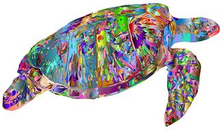 sea turtle, colorful silhouette