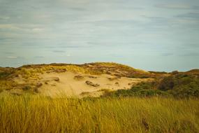 magnificent Beach Dune