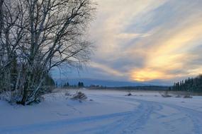 Sunset Landscape at Winter