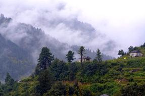 lanjdscape of Nepal Forest Nature