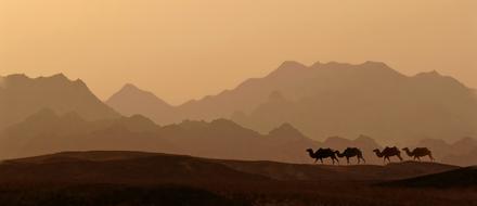 Dawn Desert