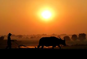 Sunset Viet Nam