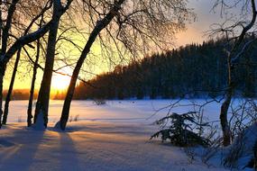 sunset in winter among the nature of canada