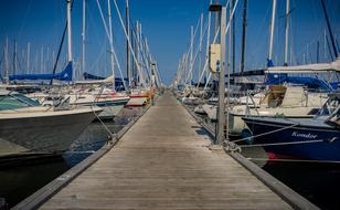 lot of Sailing Boats moored at pier
