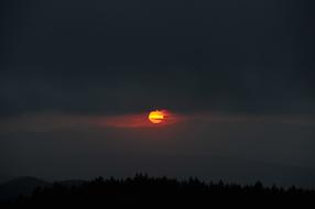 delightful Evening Nature Dawn