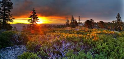 Sunrise Scenic