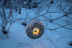 Christmas Light on branch at snowy winter evening