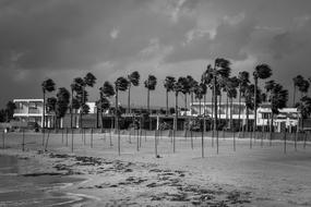 black and white image of tropical beach in winter