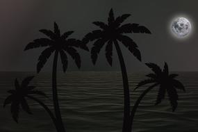 clipart of the palm trees on a coast and moon