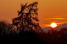 Landscape of Sunset on sky and Tree